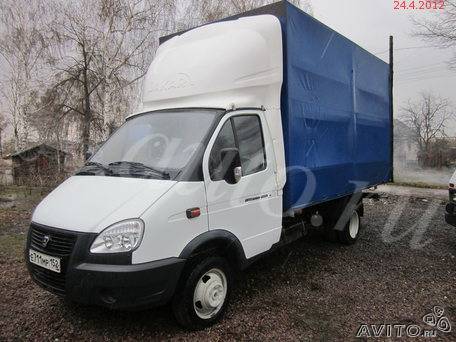 Газель бийск