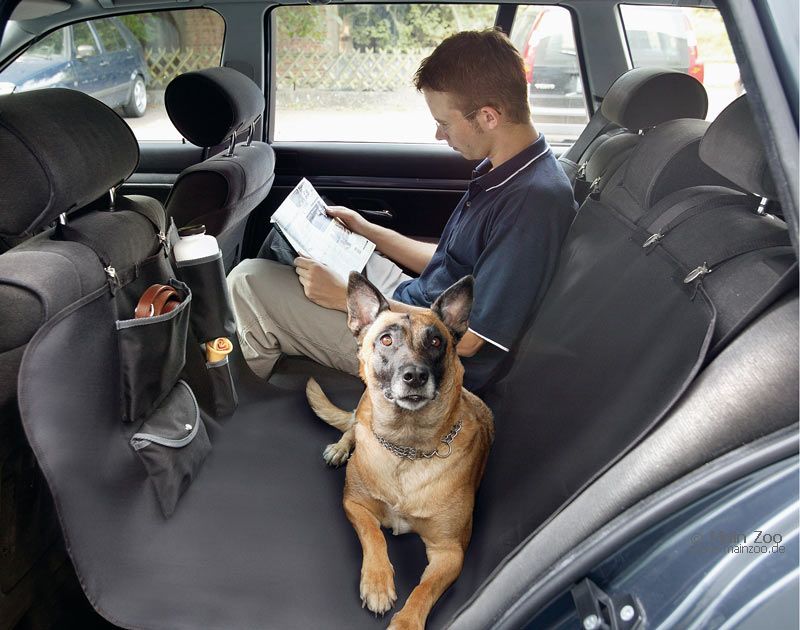 Штраф за оставление собаки в машине