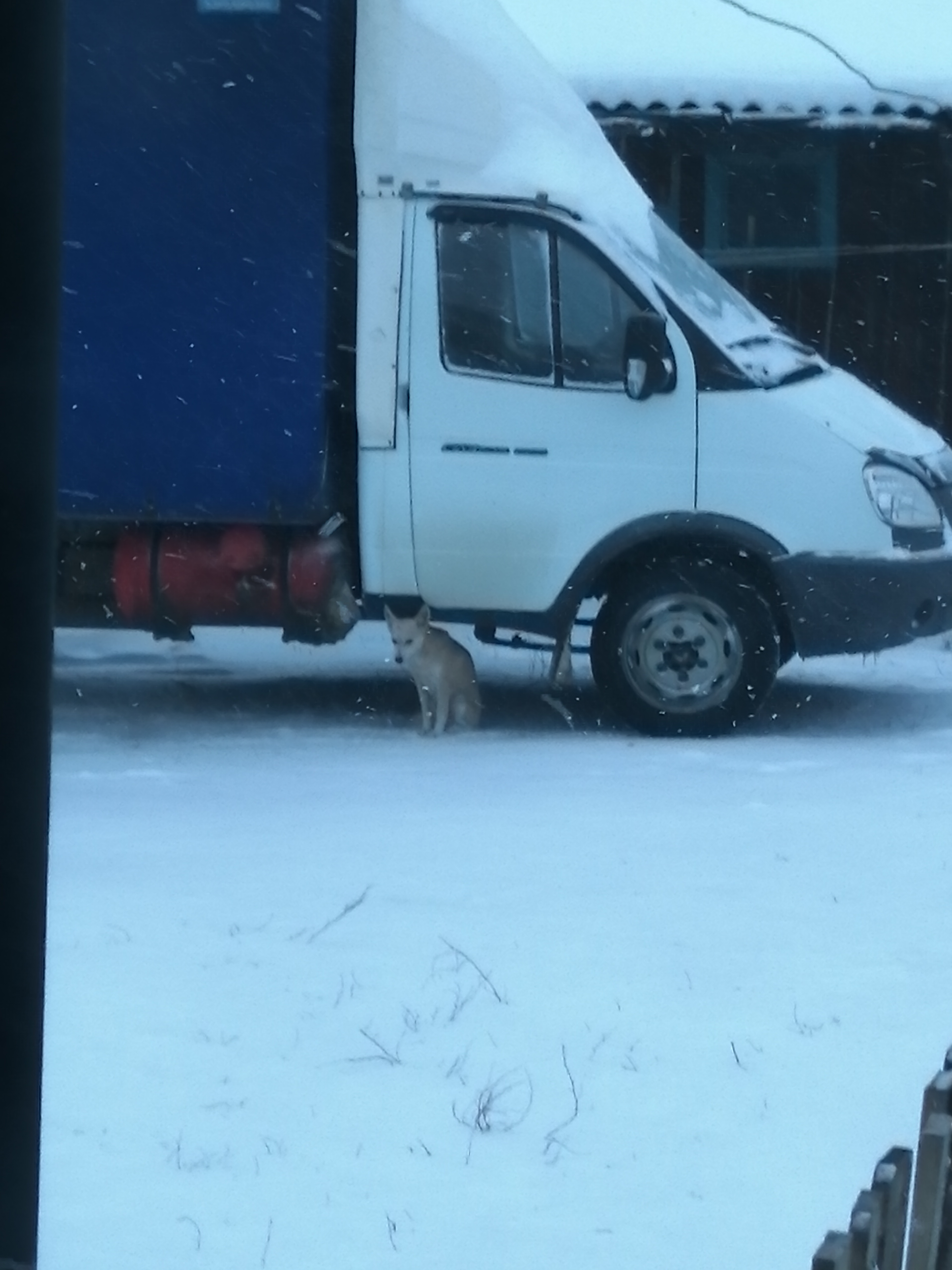 Купить Газель Бу Сызрань