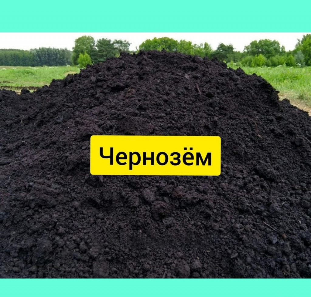 Плодородный грунт купить московская область с доставкой. Чернозем. Плодородный чернозем. Почва чернозем. Плодородие чернозема.