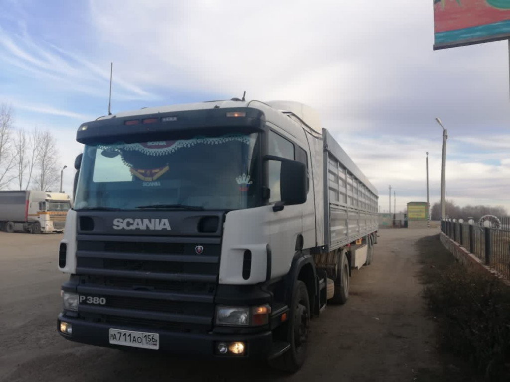 Scania p380, КАМАЗ 6520, КАМАЗ 55111, BaW Фenix Россия Оренбургская область  Кваркено Советская 166 телефон: 79096004448 (Даурен)