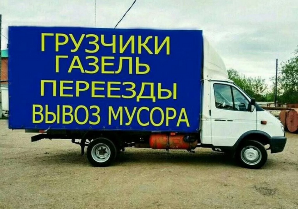 Все газели покупают и я