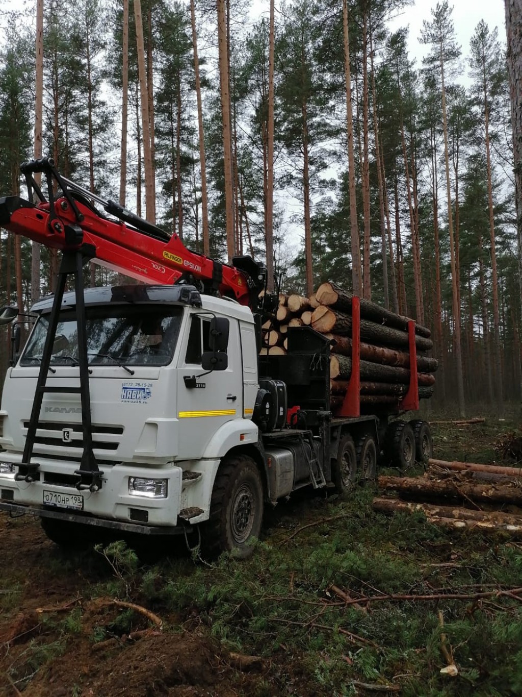 Перевозка горбыля | Цены на услуги доставки отходов от древесины в России