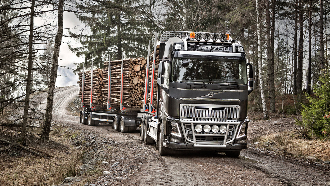 Водитель автомобиля на вывозке леса. Вольво 500 лесовоз. Вольво fh16 750 лесовоз. Volvo FMX 6х6 лесовоз. Volvo FH 2021 лесовоз.