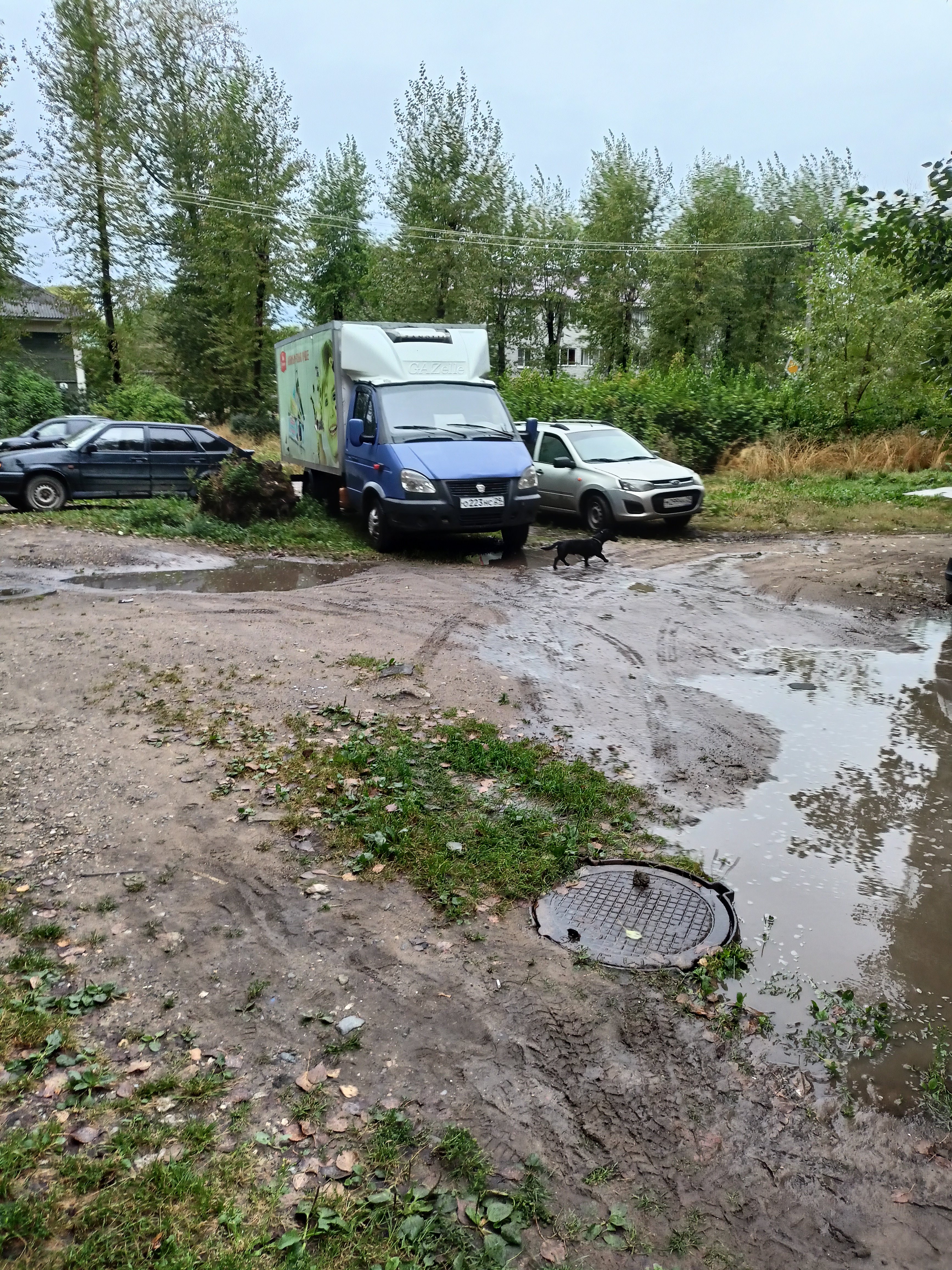 Грузовое такси в Коряжме — цены на услуги грузотакси с грузчиками заказать  недорого | Перевозка-24