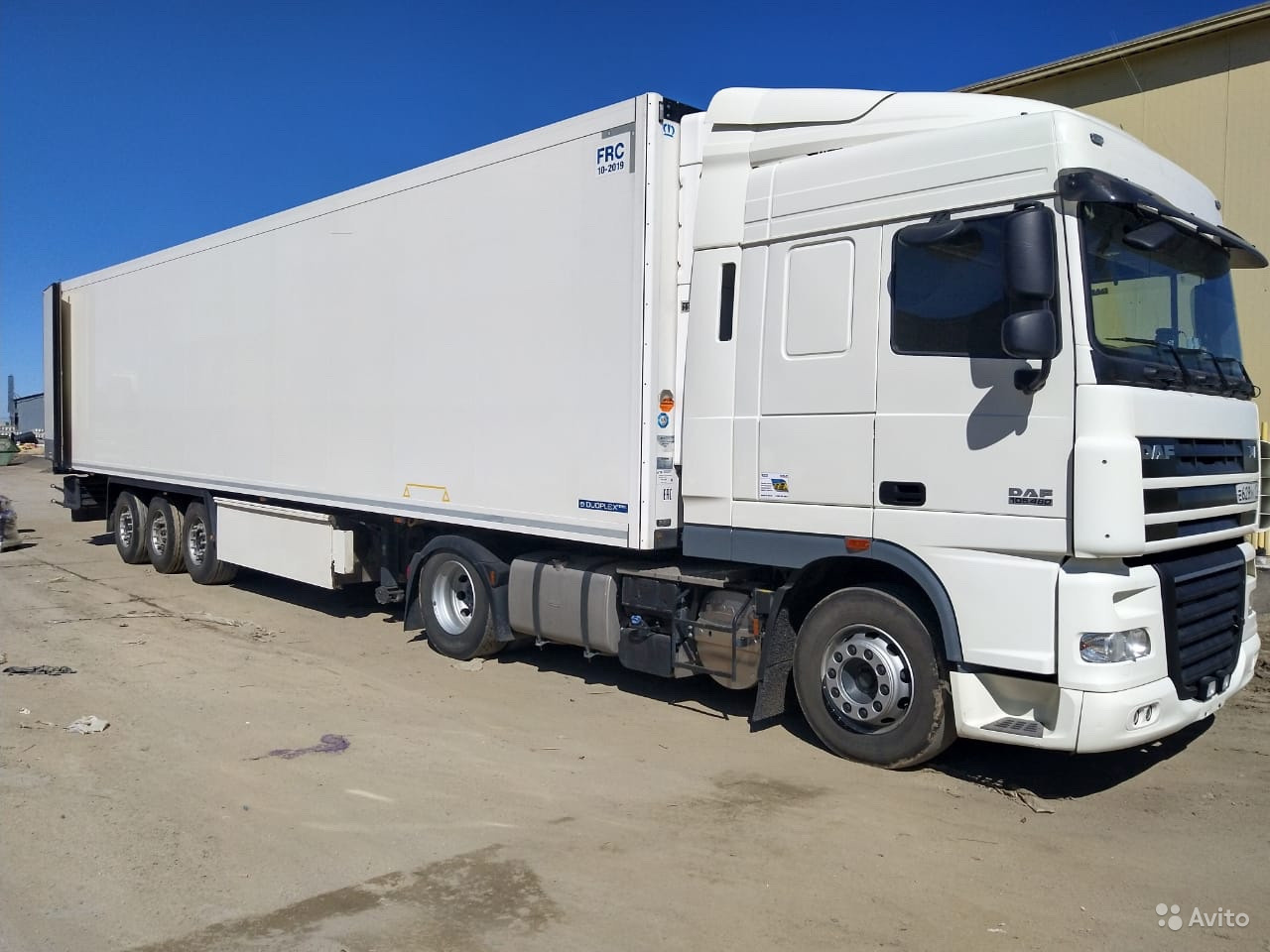 Купить грузовик в краснодарском. DAF 105 С рефрижератором. Даф 105 с полуприцепом рефрижератором. Даф 105 сцепка. DAF XF 105 рефрижератор.