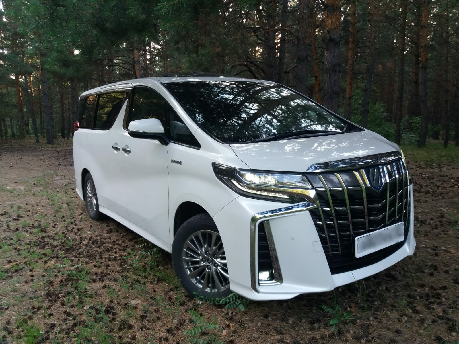 Тойота Alphard 2020 Hercule