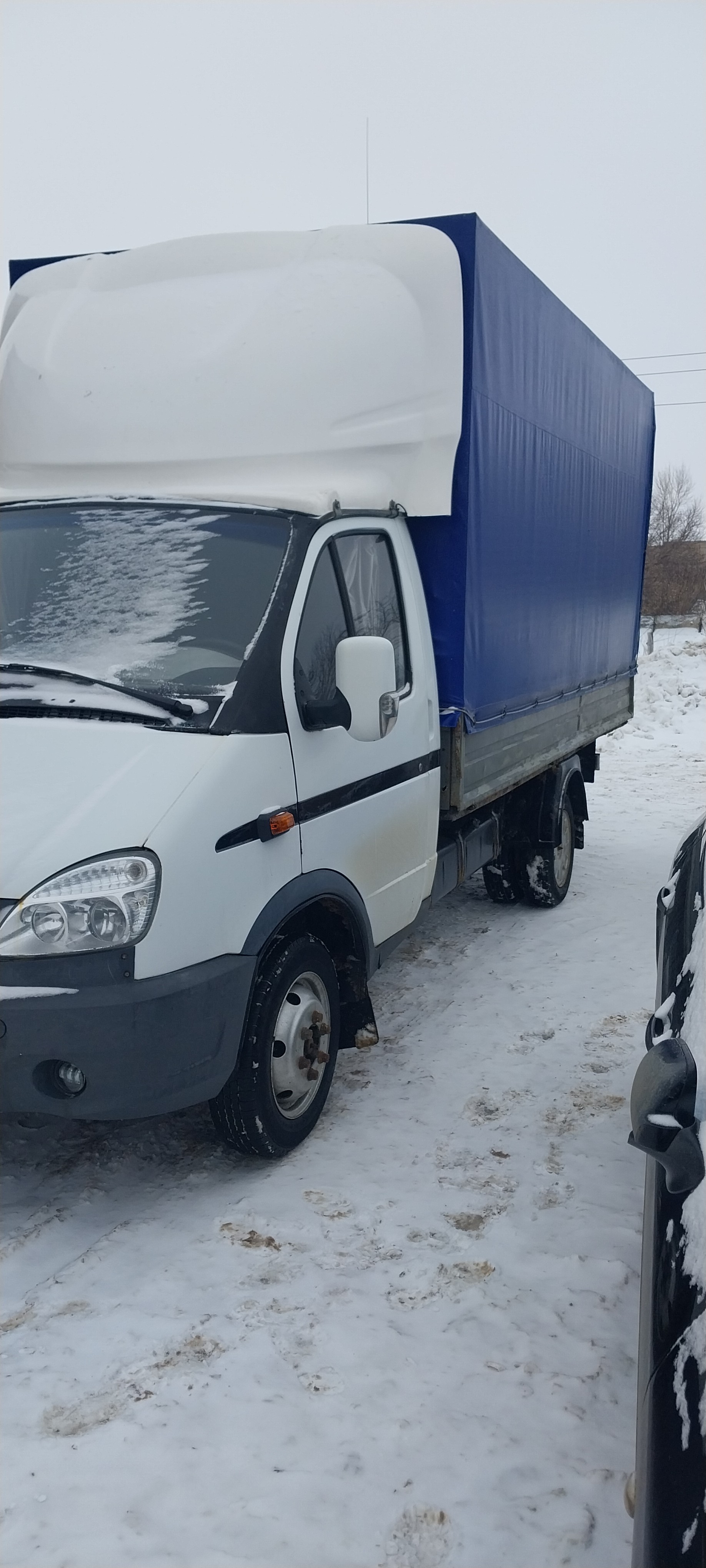 Грузовое такси в Шилово — цены на услуги грузотакси с грузчиками заказать  недорого | Перевозка-24