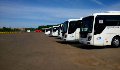 Объявление от Екатерина: «Автобусы в аренду Hyundai Universe» 1 фото