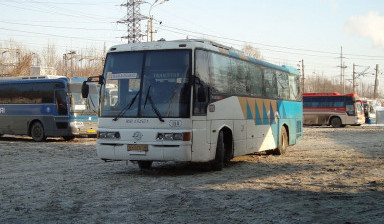 Объявление от Михаил: «Автобус 47 мест SSangYong transstar» 1 фото