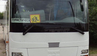 Объявление от Татьяна: «Туристический автобус MAN» 1 фото