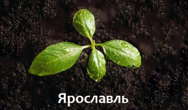 Плодородная земля для посадки растений с доставкой в Некрасовском