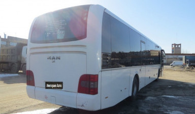 Объявление от Александр: «Аренда автобусов в москве» 1 фото