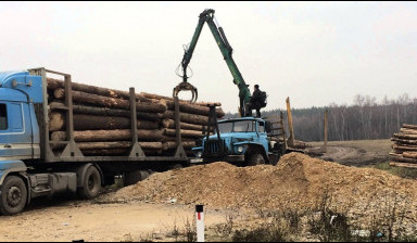 Объявление от Андрей: «Лесовоз с гидроманипулятором» 1 фото