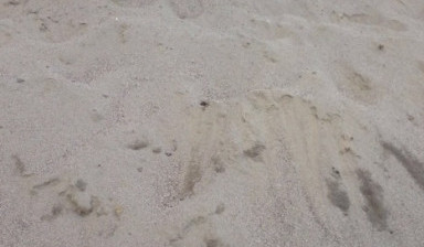 Песок Речной (Доставка)