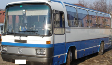 Объявление от Виктор: «Пасажирські перевезення автобусами Мерседес» 1 фото