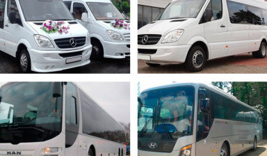 Объявление от Альбатрос: «Заказ автобосов и микроавтобусов» 1 фото