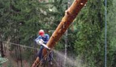 Объявление от Владимир: «Спил деревьев» 1 фото