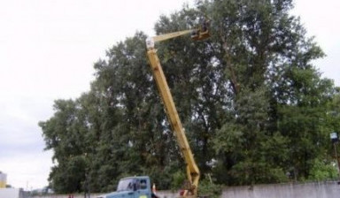 Спилка деревьев, вывоз строительного мусора в Ленинском