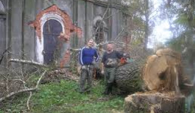Удаление деревьев в Богородицке