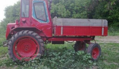 Объявление от Макм: «Беларус Т16м трактор продам» 1 фото