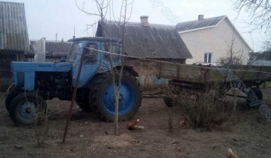 Объявление от Алексей: «Продам трактор МТЗ 50» 1 фото