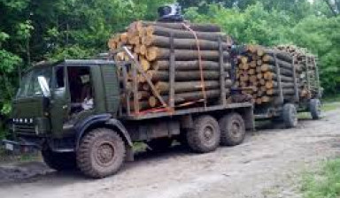 Объявление от Никита: «Аренда лесовоза в Гомельской области» 1 фото