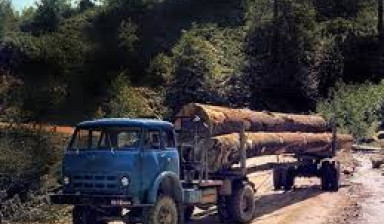 Объявление от Михаил: «Услуги лесовоза в Гродненской области» 1 фото
