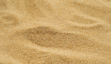 Объявление от Ооо: «Песок строительный» 1 фото