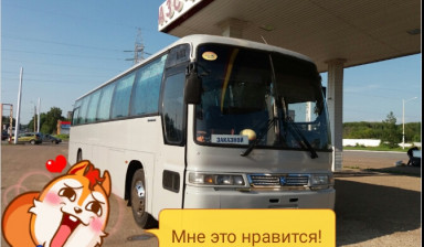 Объявление от Александр: «Перевозка пассажиров» 1 фото