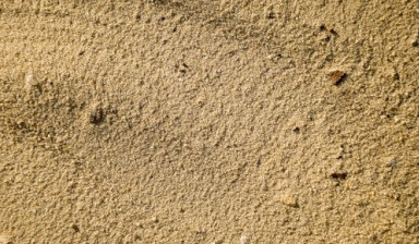 Объявление от 1NLK@bk.ru: «Песок (речной, боровой)» 1 фото