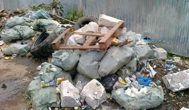Объявление от Дима: «Вывоз любого вида мусора» 1 фото