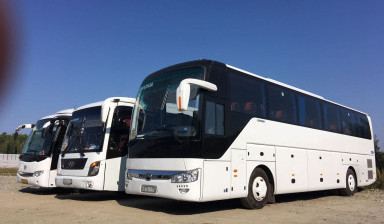 Объявление от Е-Транс66: «Заказ автобусов недорого от 20 до 60 мест» 1 фото
