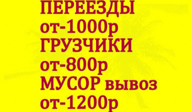 Объявление от Анастасия: «Различные виды грузоперевозок» 1 фото