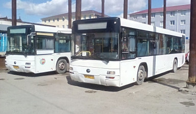 Объявление от Ирина: «Заказ автобуса с водителем» 1 фото