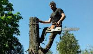 Объявление от Вадим: «Спил деревьев, расчистка участков» 1 фото