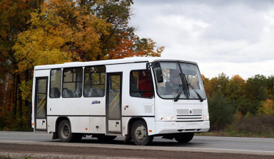 Объявление от Кирилл: «Аренда автобусов ПАЗ на 24 сидячих места» 1 фото