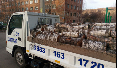 Объявление от Дмитрий: «Вывоз, доставка: уголь, дрова, мусор тбо.» 1 фото