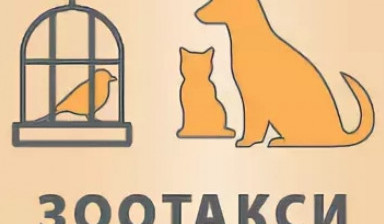 Объявление от Зоотакси: «Перевозка домашних животных» 1 фото