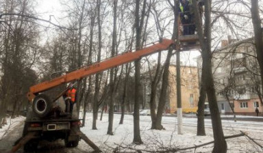 Объявление от Кирилл: «Спил, удаление и кронирование деревьев» 1 фото