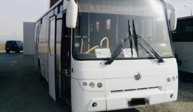 Объявление от Павел: «Автобус на заказ услуги пассажирские перевозки» 1 фото