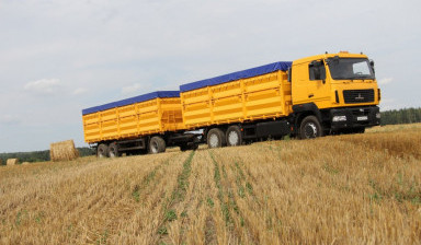 Объявление от Вячеслав: «Перевозка сыпучих грузов. Аренда зерновоз.» 1 фото