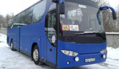Объявление от Дмитрий: «Аренда автобуса, пассажирские перевозки» 1 фото