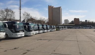 Аренда автобусов 10-55 мест (petro-bus.ru)