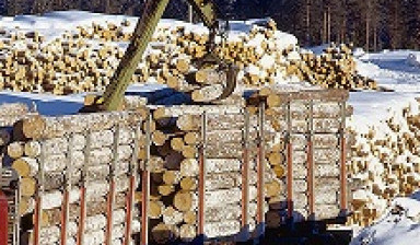 Объявление от Владимир: «Маз 6422а8-330. Перевозка леса, грузов длинномер.» 1 фото