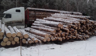 Объявление от Александр: «Лесовоз. Перевозка леса, труб, грузов.» 1 фото