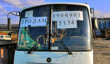 Объявление от Владислав: «Паз 4230-03» 2 фото