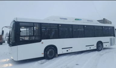 Объявление от Mihail: «Пригородный газовый автобус нефаз» 3 фото