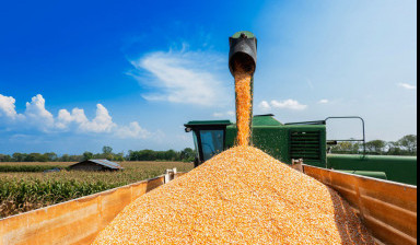 Объявление от Владимир: «Перевозка зерна, грузов. Сельхозник аренда.» 1 фото