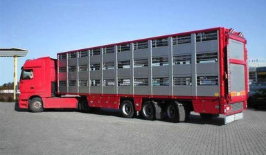 Scania G340 2012 г. полуприцеп - скотовоз